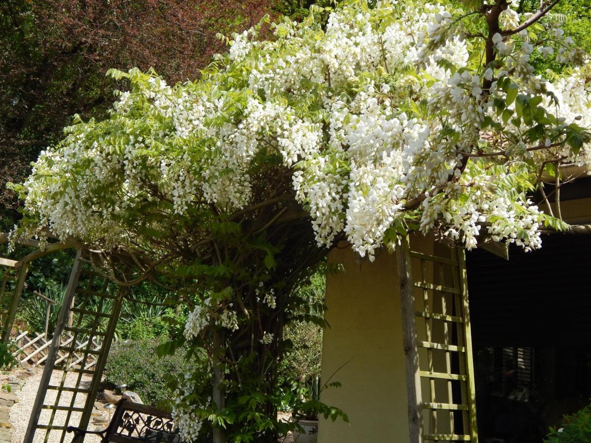 The Petite Chalet Chambre D'Hotes L'Isle-Jourdain  Exterior foto