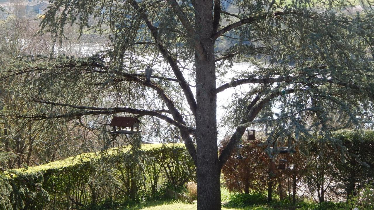 The Petite Chalet Chambre D'Hotes L'Isle-Jourdain  Exterior foto
