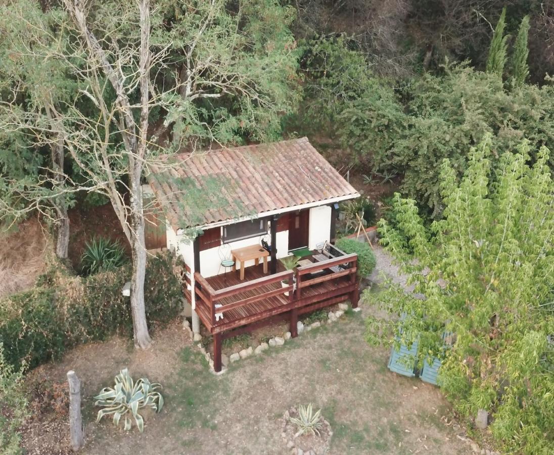 The Petite Chalet Chambre D'Hotes L'Isle-Jourdain  Exterior foto